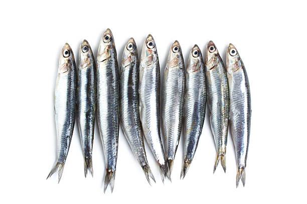 Boquerón entero kg.