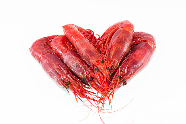 Gamba alistada