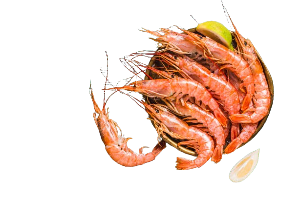 Gamba langostinera n2 2kg.